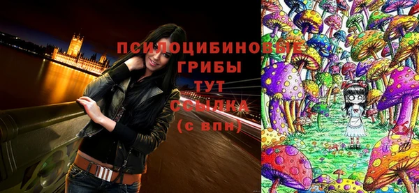 не бодяженный Волоколамск