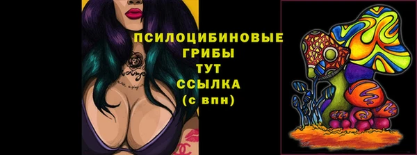 молекула духа Тихорецк