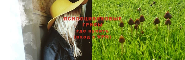 не бодяженный Волоколамск