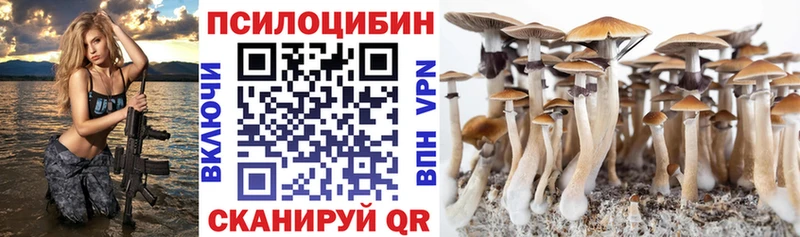Псилоцибиновые грибы Psilocybe  Печора 